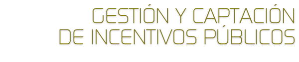 Gestión y Captación de Incentivos 