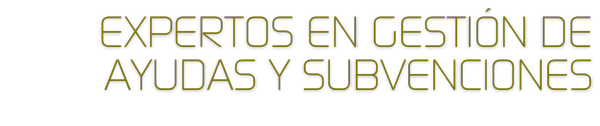 Gestión y Captación de Incentivos 