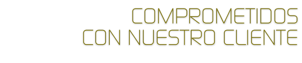 Gestión y Captación de Incentivos 